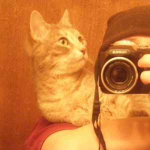 Meet your Posher, Diane